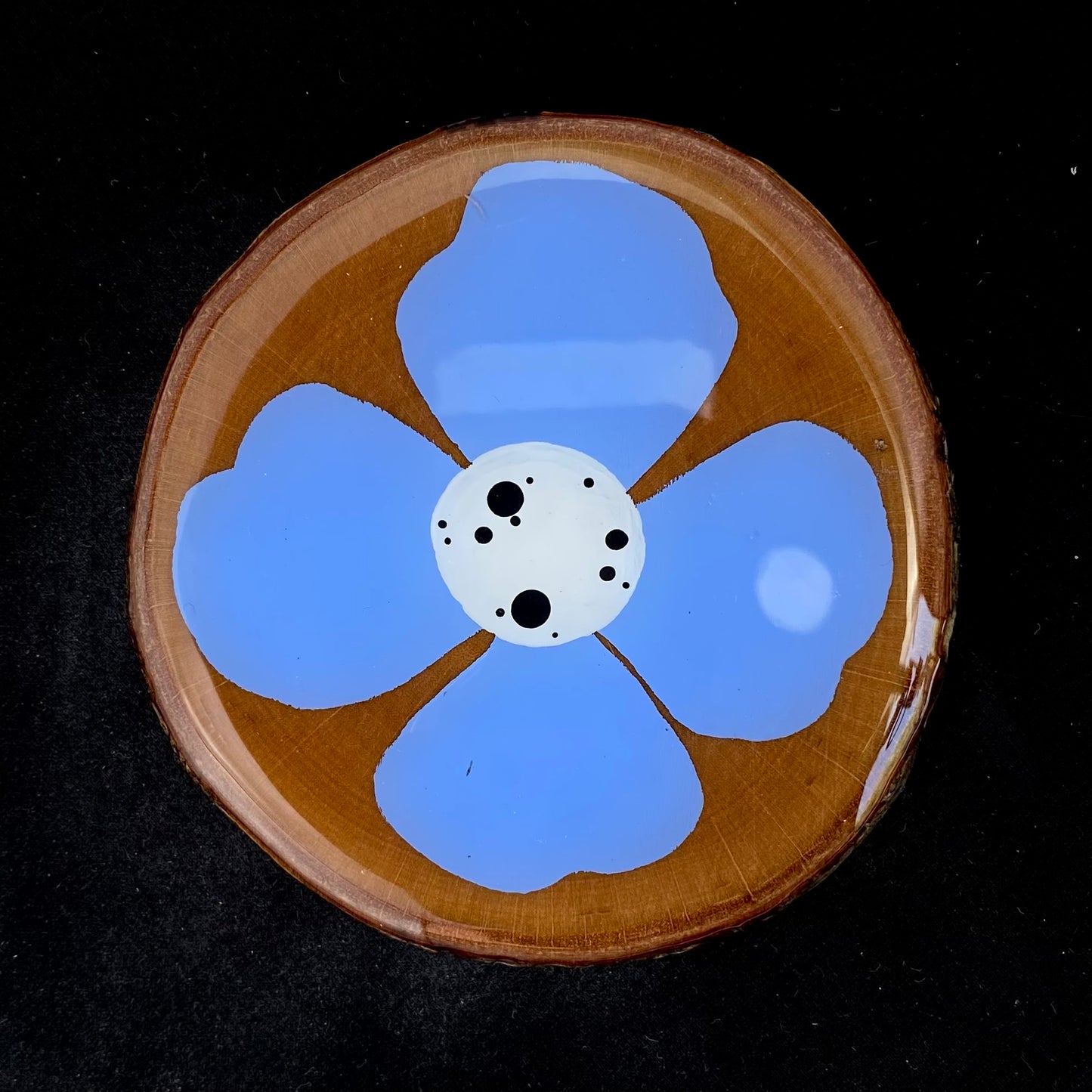 Coaster Birch Wood Cornflower Blue Petal Flower