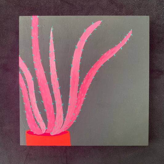Original Painting Pink Aloe Plant